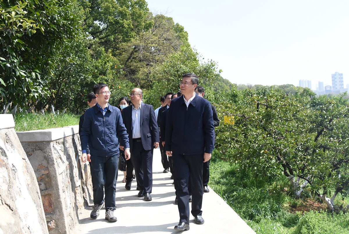 徐强教授向吴海涛副省长汇报国家柑橘育种中心运行情况(匡敏 摄)