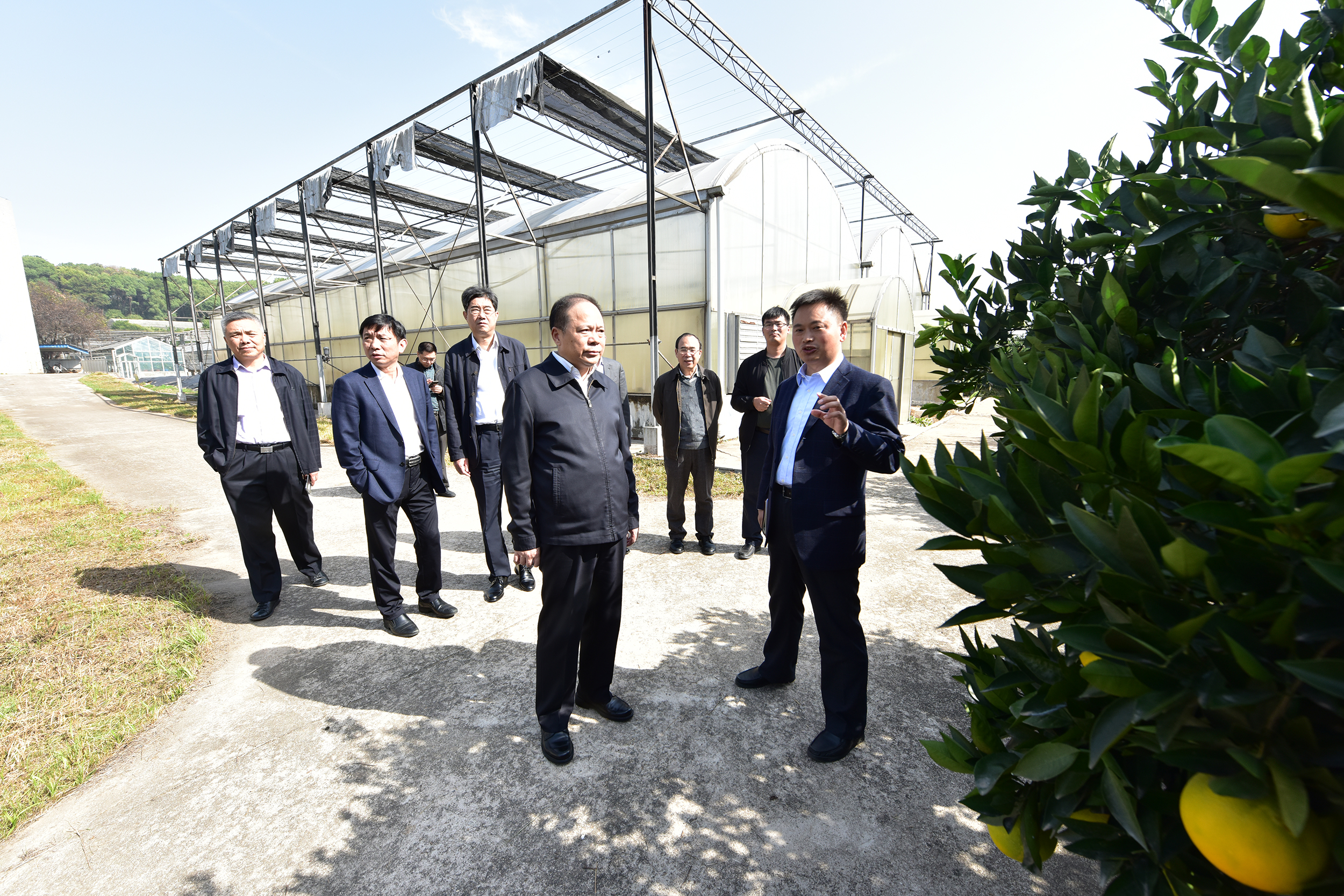 程运江教授为万勇介绍国家柑橘育种中心基本情况
